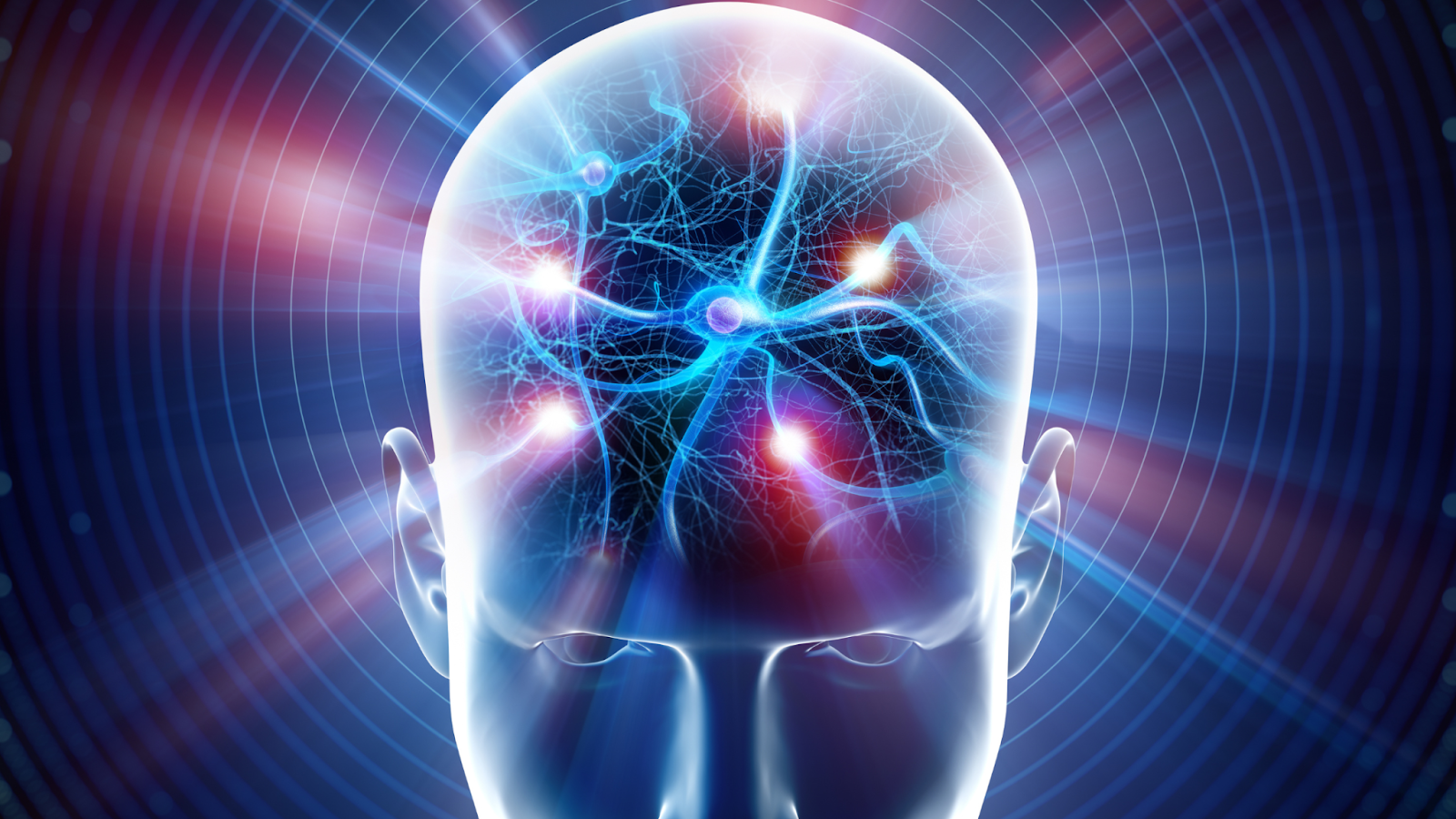 Brain neurons and transmitters
